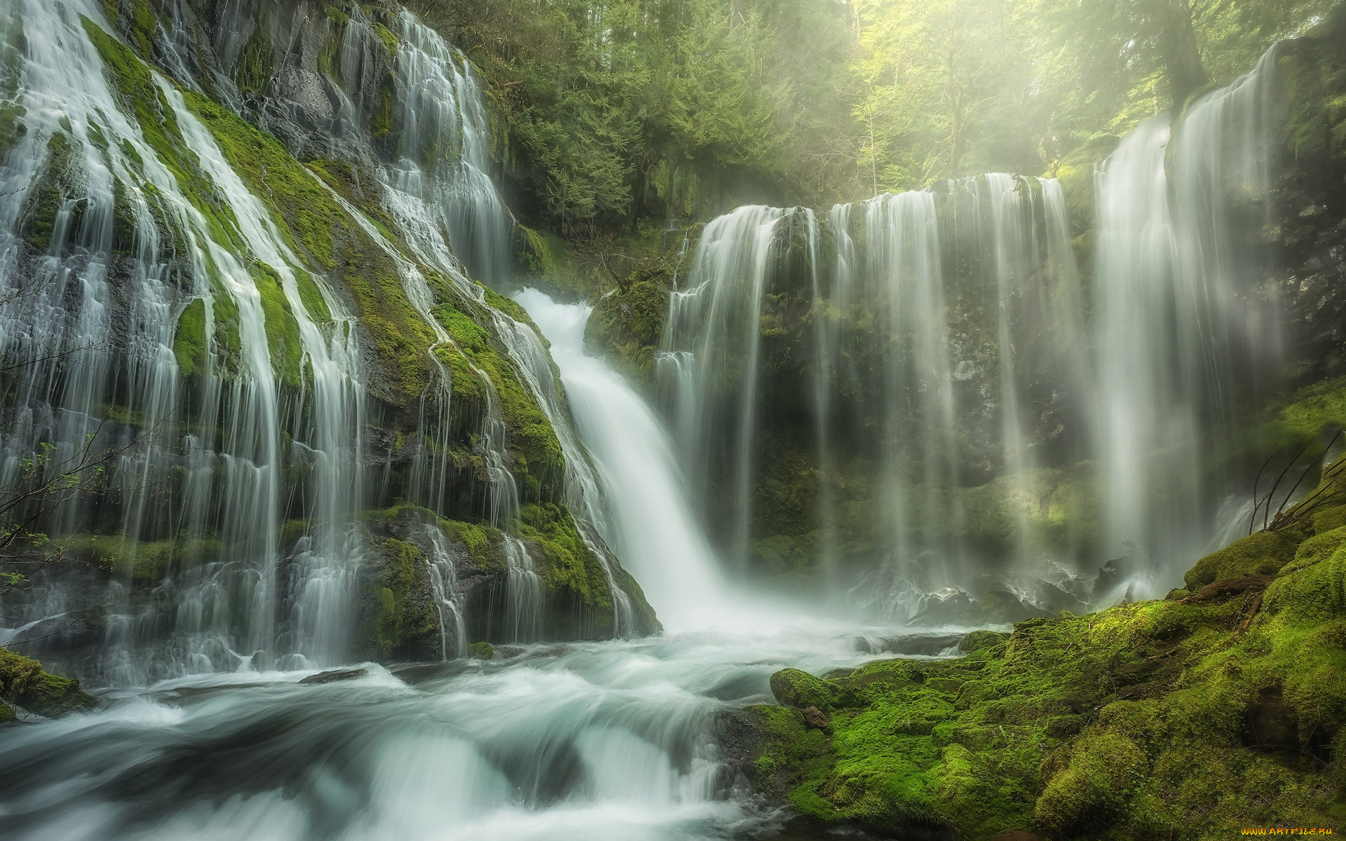 panther creek falls, usa, , , panther, creek, falls